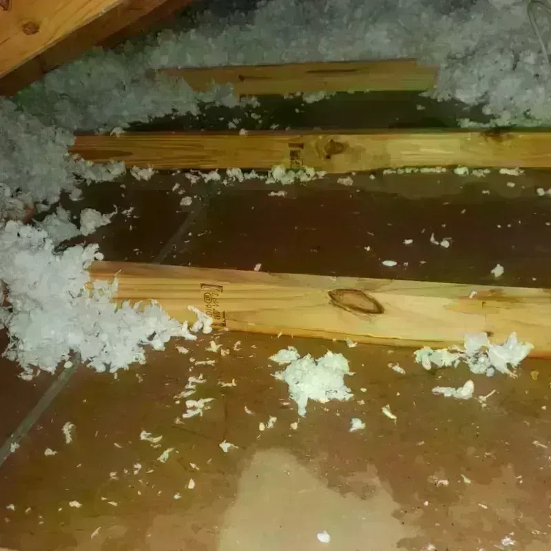 Attic Water Damage in Garner, IA