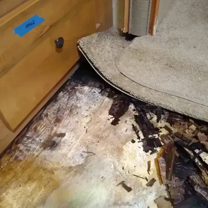 Wood Floor Water Damage in Garner, IA